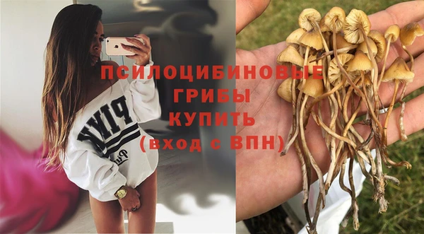 синтетический гашиш Козельск