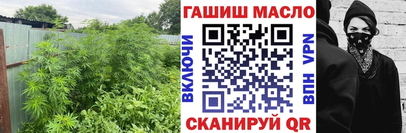 Дистиллят ТГК THC oil  Купить где  Багратионовск 